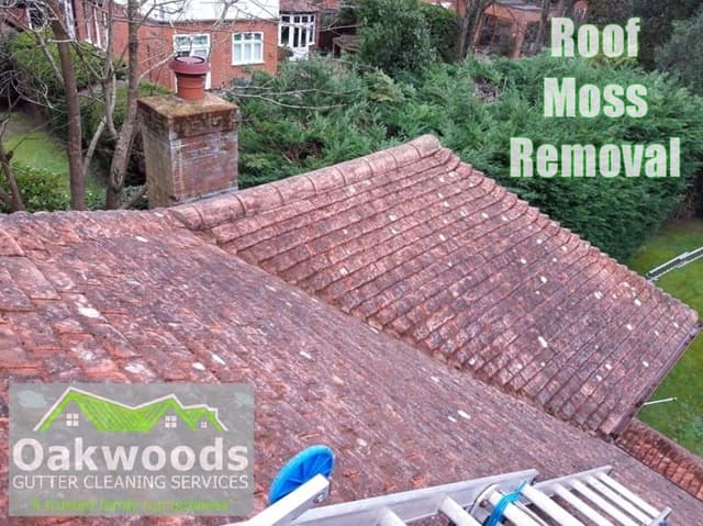 roof-cleaning image 20