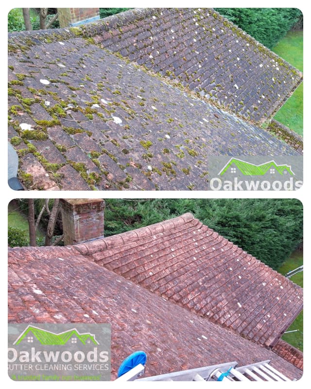 roof-cleaning image 30